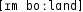 Grafik mit phonetischer Transkription des Belegs