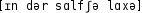 Grafik mit phonetischer Transkription des Belegs