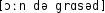 Grafik mit phonetischer Transkription des Belegs