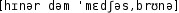 Grafik mit phonetischer Transkription des Belegs