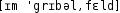 Grafik mit phonetischer Transkription des Belegs