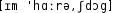 Grafik mit phonetischer Transkription des Belegs