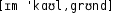 Grafik mit phonetischer Transkription des Belegs