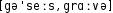 Grafik mit phonetischer Transkription des Belegs
