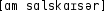 Grafik mit phonetischer Transkription des Belegs