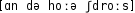 Grafik mit phonetischer Transkription des Belegs