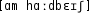 Grafik mit phonetischer Transkription des Belegs