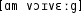 Grafik mit phonetischer Transkription des Belegs