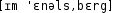 Grafik mit phonetischer Transkription des Belegs