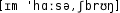 Grafik mit phonetischer Transkription des Belegs