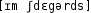 Grafik mit phonetischer Transkription des Belegs