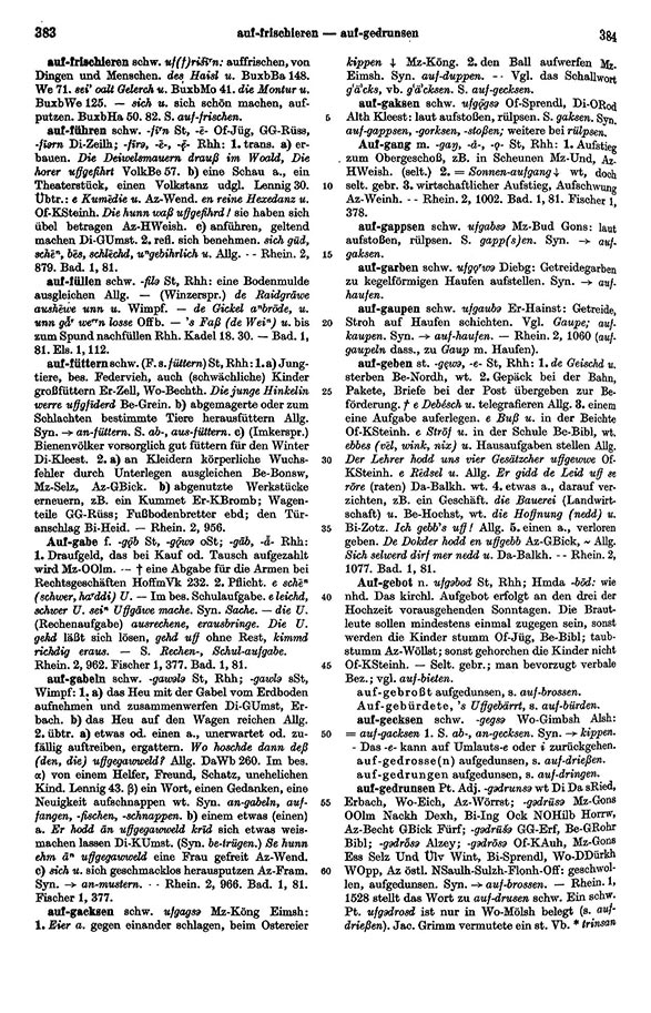 Click to enlarge Page View: Volume 1, Columns 383–384