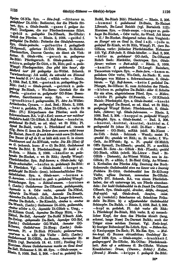 Page View: Volume 2, Columns 1125–1126