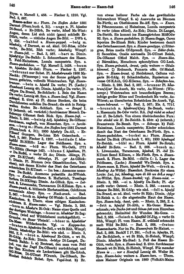 Page View: Volume 3, Columns 145–146