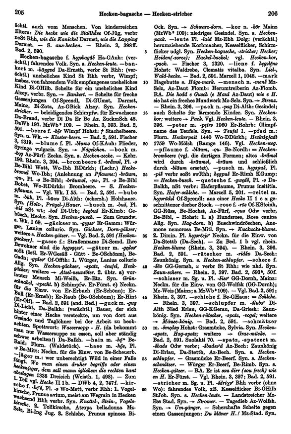Page View: Volume 3, Columns 205–206