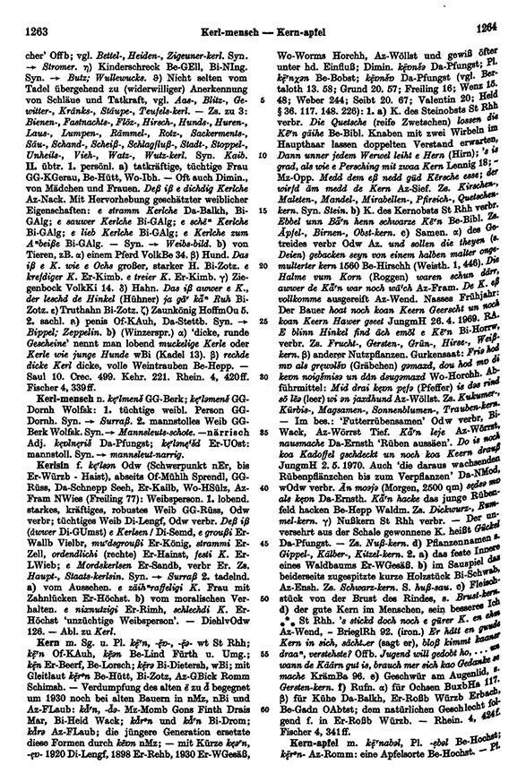 Zum Vergrößern bitte klicken Seitenanzeige: Band 3, Spalten 1263–1264