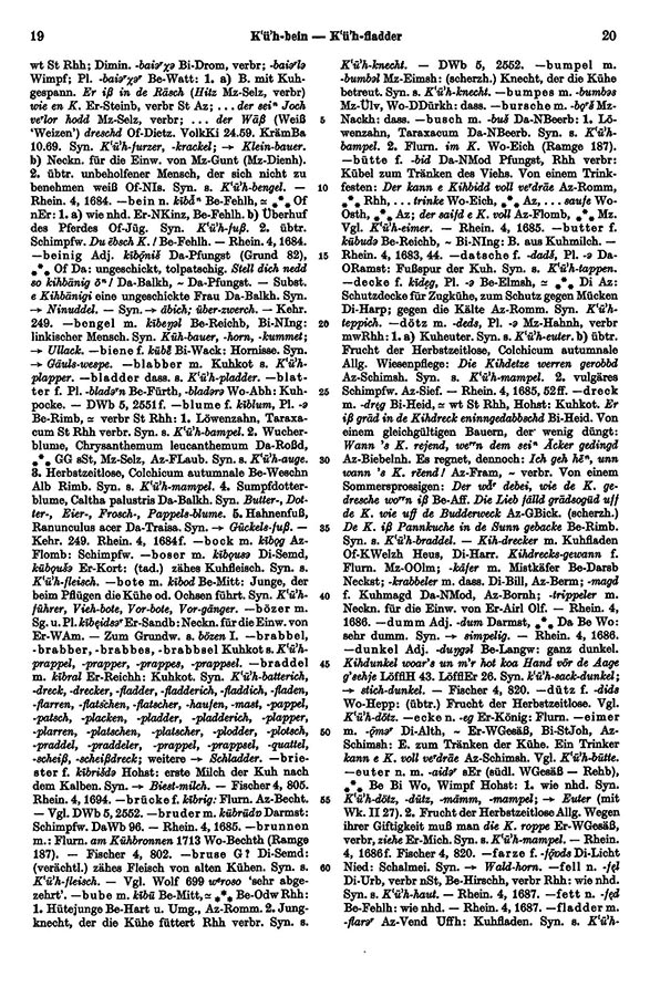 Page View: Volume 4, Columns 19–20