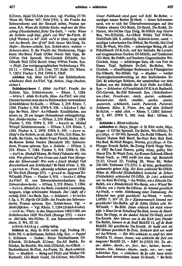Page View: Volume 5, Columns 407–408