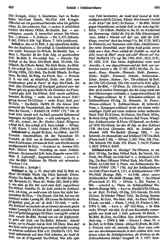 Zum Vergrößern bitte klicken Seitenanzeige: Band 5, Spalten 489–490
