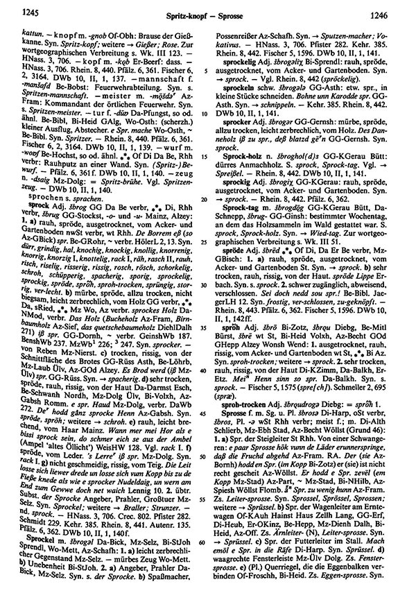 Zum Vergrößern bitte klicken Seitenanzeige: Band 5, Spalten 1245–1246