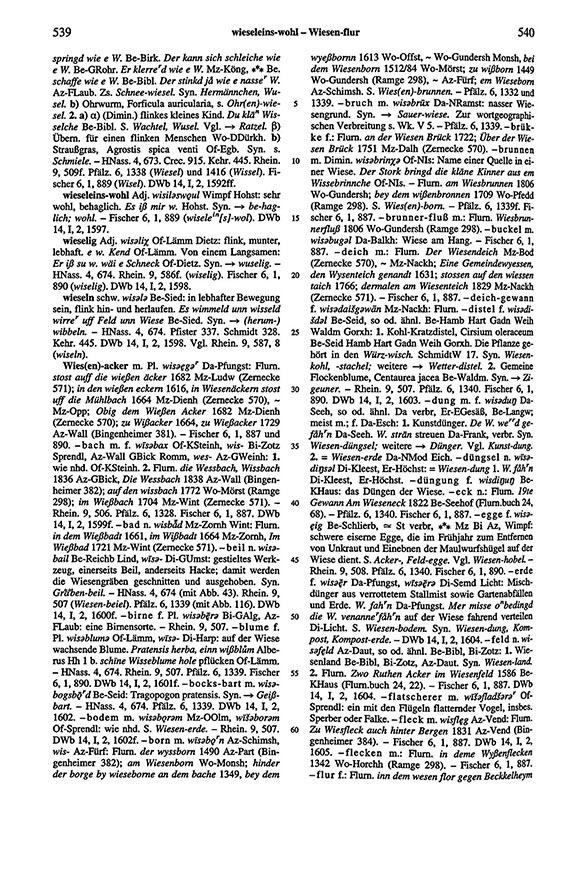 Click to enlarge Page View: Volume 6, Columns 539–540