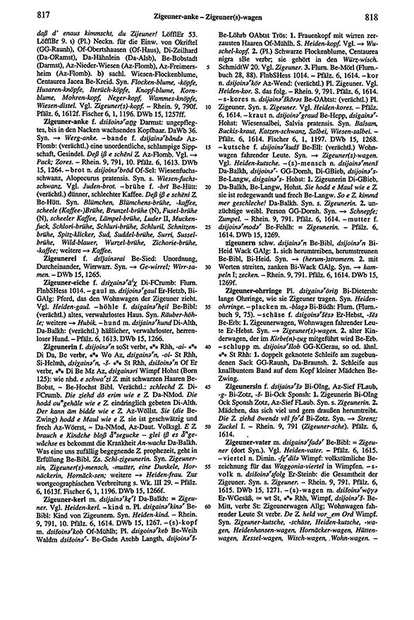 Page View: Volume 6, Columns 817–818