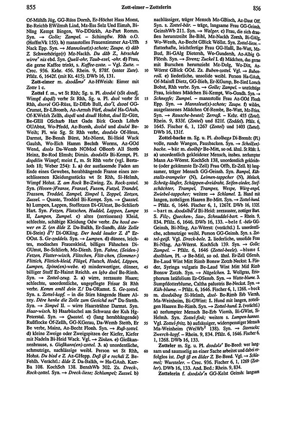Page View: Volume 6, Columns 855–856