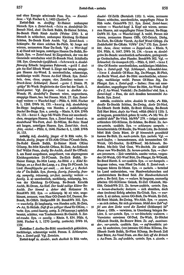 Page View: Volume 6, Columns 857–858