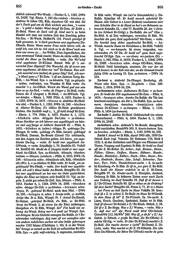 Page View: Volume 6, Columns 865–866