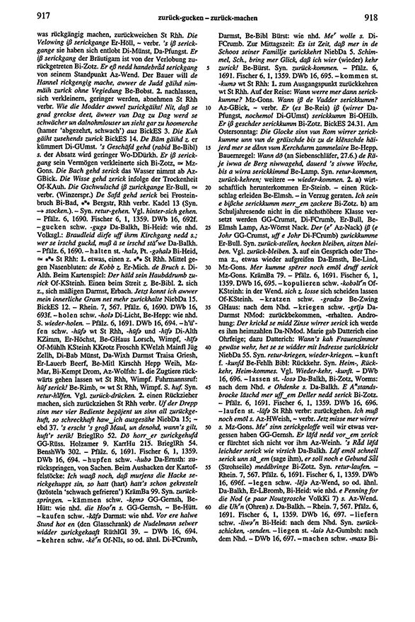 Page View: Volume 6, Columns 917–918