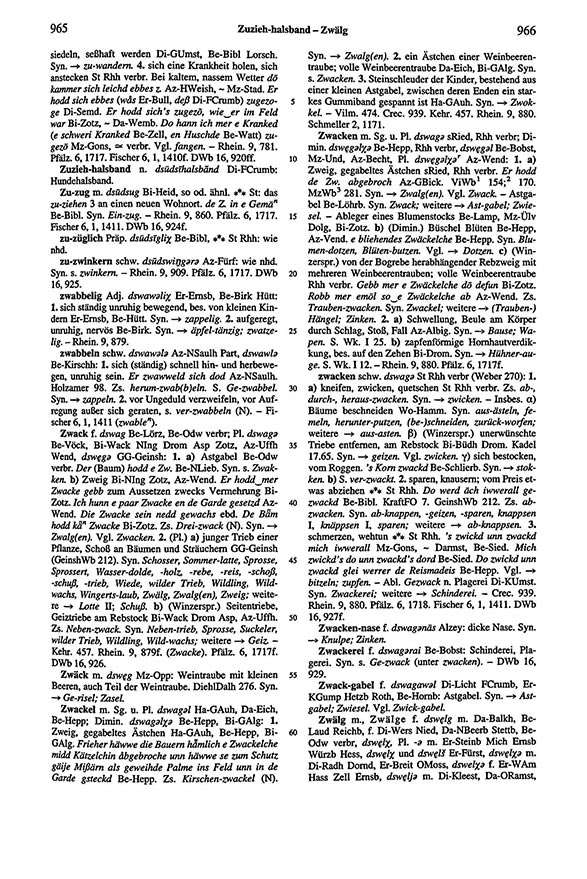 Page View: Volume 6, Columns 965–966