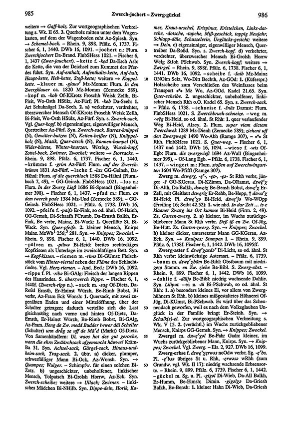 Page View: Volume 6, Columns 985–986