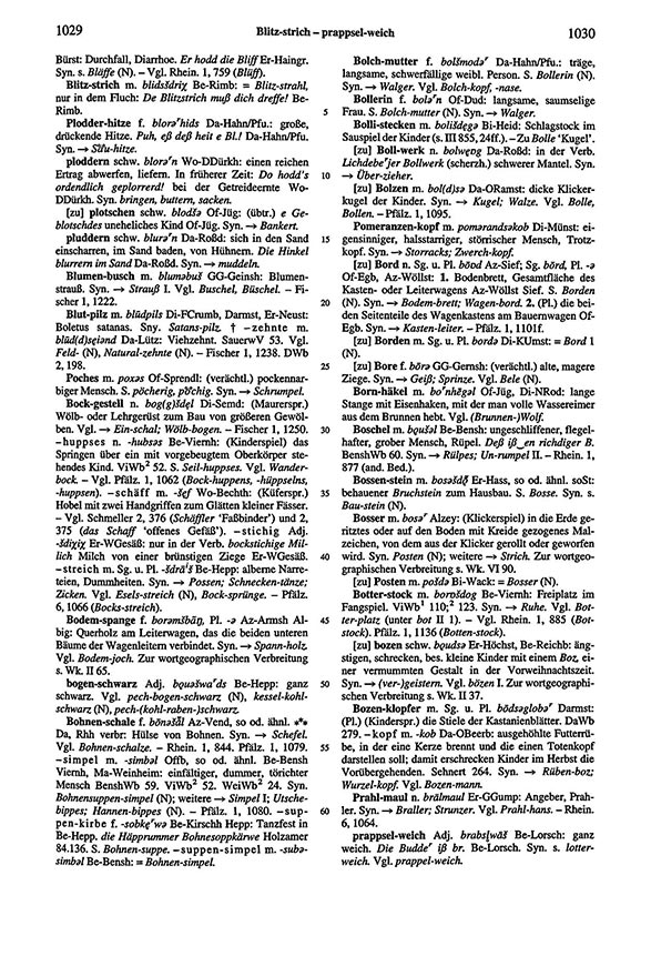 Page View: Volume 6, Columns 1029–1030