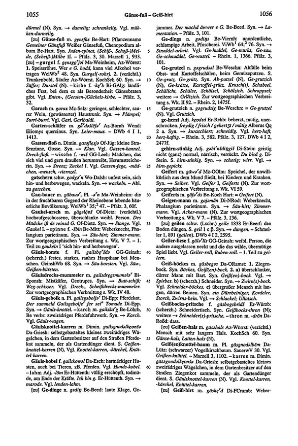 Seitenanzeige: Band 6, Spalten 1055–1056