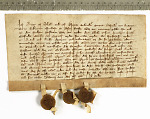Die Brüder Schröder zu Schwarzenborn schwören Graf Gottfried VII. Urfehde